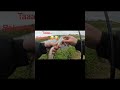 Rekordów ciąg dalszy 🤣😅 Niebawem kolejny film. Pozdrawiam serdecznie🫡 #wędkarstwo #fishing #spinning