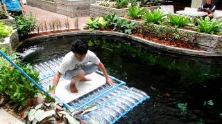 Dscn0837