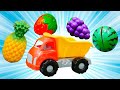 Meyveleri öğreniyoruz eğitici video 🍉