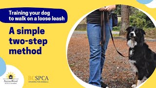Training your dog to walk on a loose leash (short) | BC SPCA AnimalKind by BC SPCA (BCSPCA Official Page) 385 views 1 year ago 55 seconds