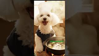 Chef Mill Prepares Miso Soup Like A Proshorts asmr ai pets cutedog cooking nguyenmilo