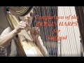 Berlin Harps Comparison with the Staffpad in-app sound - revised