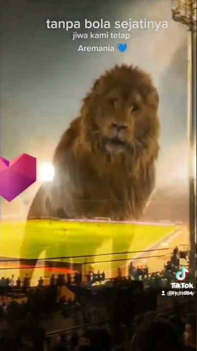 KANJURUHAN Ninggal pati walau tnp bola kami ttp AREMA AREK ' MALANG