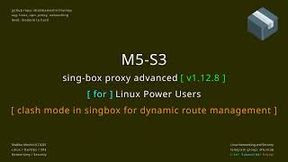 singbox proxy advanced M5 S3 clash mode in singbox for dynamic route management
