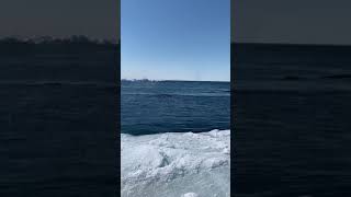 Amazing BowHead Whales Migration on the coast of Alaska