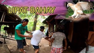 BAGWIS TINULONGAN ANG DALAWANG MATANDA NA MAGAWAN NG BAGONG BAHAY