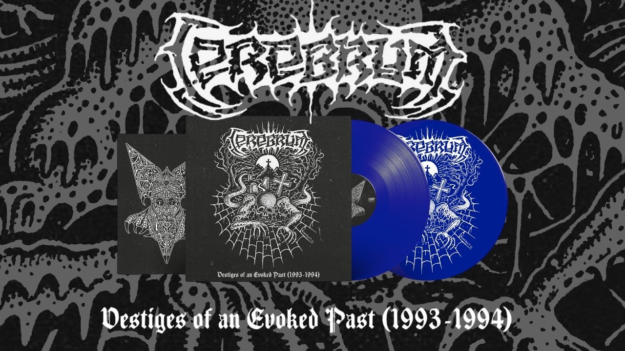CEREBRUM - 