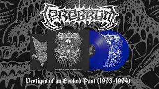 CEREBRUM - Vestiges of an Evoked Past (1993–1994) | Gatefold 2xLP
