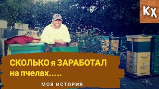 Содержание пасеки - отличный БИЗНЕС для деревни. Сколько я заработал на пчелах..???