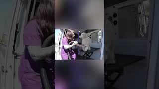 FURRYLAND MOBILE GROOMING OFFERS PERFECTION PART 3