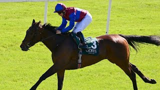 CHERRY BLOSSOM returns to winning ways with Listed victory at Cork