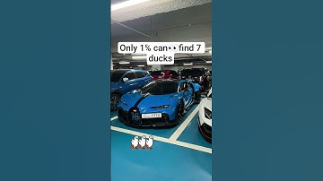 "Only 1% Can Spot the Cat… 10 Ducks Are Easy 😭🔥" #findthedifference #hiddenobjects