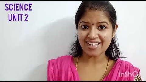 FROM DOODLEBUG TO TUSKER |CHAPTER 2 |GRADE 3 | EVS |PART 3