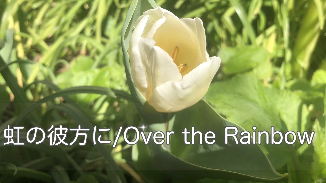 ファイアーエムブレム 好きがリメイクを切望する名作 聖戦の系譜 フリーライター00ai