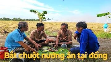 19 | Bắt chuột đồng mùa gặt lúa ở miền tây | Mouse