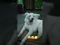 #comedy #funny