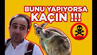 Kangurulara Bu Kadar Yaklaşır Mıydınız ? | Avustralya