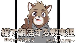 朝活する狸