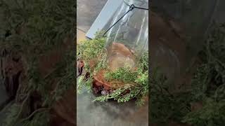 Celebrity Rustic centerpiece for wedding #wedding Wealth