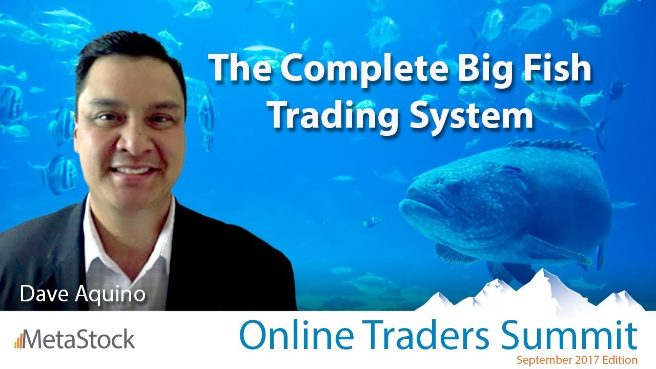 The Complete Big Fish Trading System YouTube The Complete Big Fish Trading System YouTube