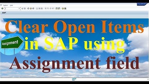 How to clear Open Items using Assignment field in SAP