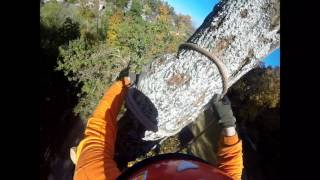 the big oak 1 HD