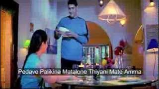 pedave palikina nani telugu movie song lyrics