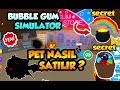 💲 Bubble Gum Simulator PET NASIL SATILIR Robux Kazanma 💲 Roblox Türkçe