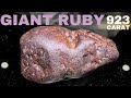 Found star in huge ruby 923 carats  africa  gemstone cutting faceting  polishing