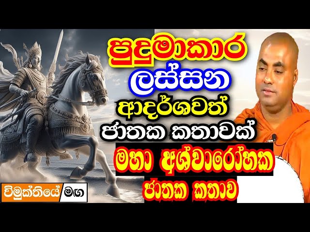 හරිම ලස්සන ආදර්ශවත් ජාතක කතාවක් | මහා අශ්වාරෝහක ජාතකය | Koralayagama saranathissa thero bana 2024 class=