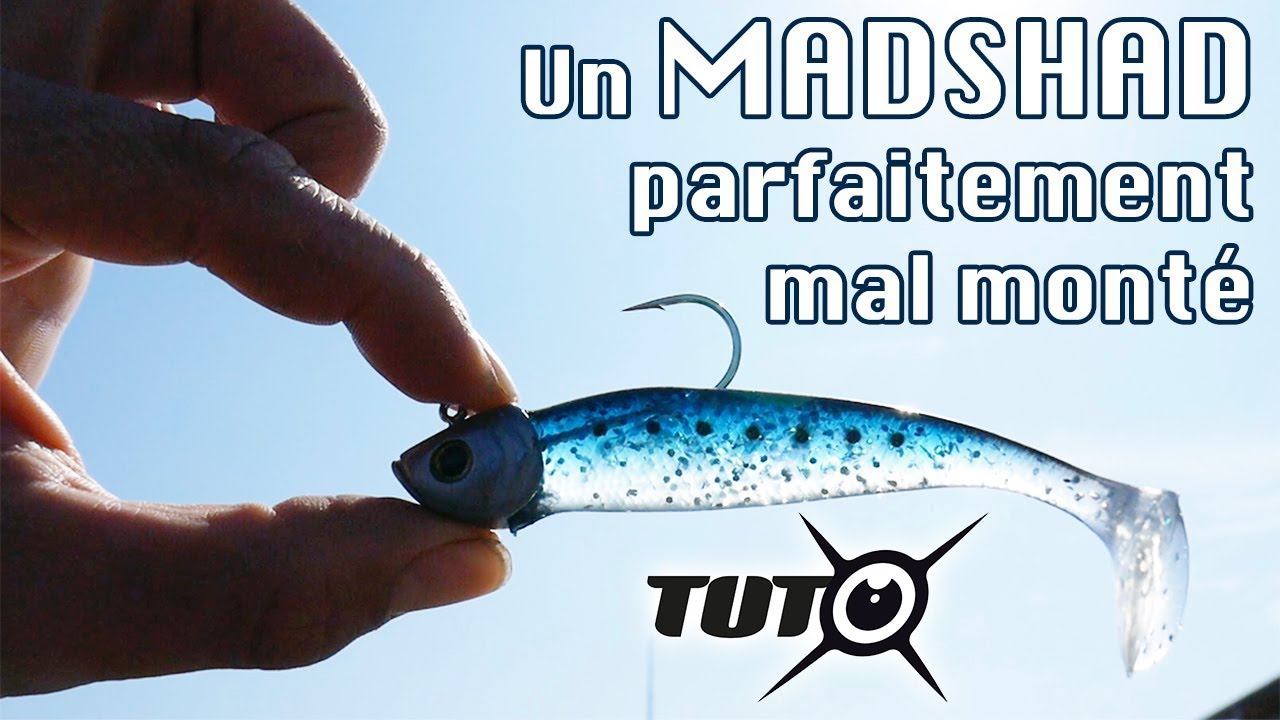 4 Leures Souples Madness Madshad – Pêche Bar Et Brochet, Mer & Douce