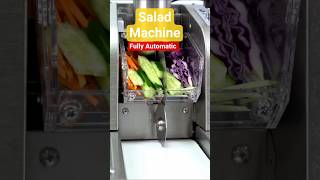 SALAD Machine Fully automatic Electronic control Stainless Steel Conveyor  #salad #peeler #electric