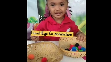 LEARN AND PLAY WITH POM POMS