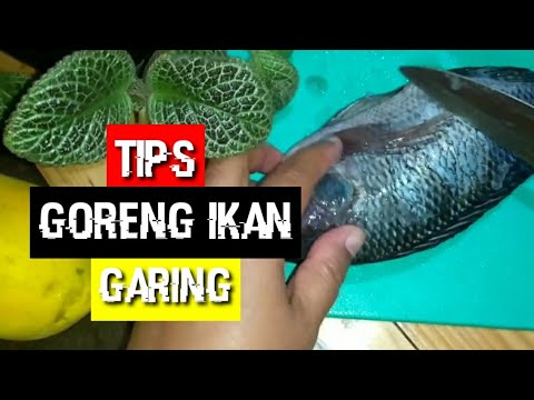 Tips Goreng Ikan Garing Renyah Youtube