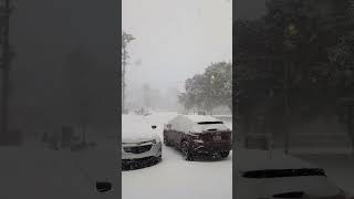 snow day new bern nc