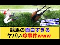 【腹筋崩壊】競馬の面白すぎる珍事件がヤバすぎるwww