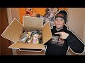 Ice Fishing Tackle Unboxing (New Baits!)