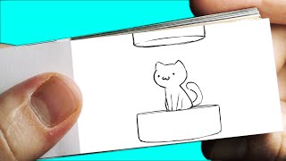 Pressure cat - Funny Video - Flipbook Animation