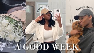 WEEKLY VLOG | TV Appearance, New Hair Prep, Events & Dior gets Spayed