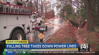 Fallen tree knocks out power in Tucker