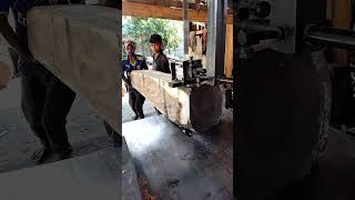 #TreeCutting #WoodWork #Every cut brings sawmill # 613 🙀👈