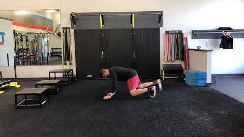 Matthew Ibrahim | All Fours Iso w/ Alternating Lateral Tap & Kickback