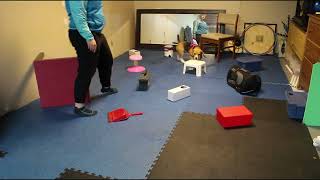 Nosework Training- Containers In Interiors