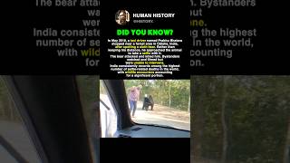 He Tried To Take A Selfie With A SLOTH Bear #history #facts