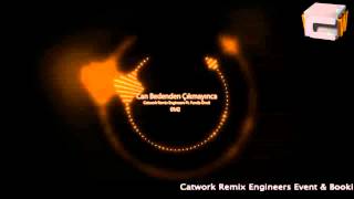 Catwork Remix Engineers Ft.Funda Öncü - Can Bedenden Çıkmayınca (2012)