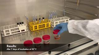 Biological Validation at Fedegari Tech Center -  Stoppers Sterility Check