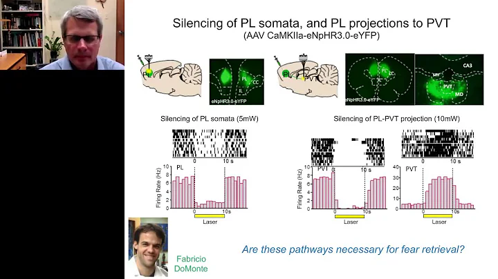 Greg quirk -  Prefrontal control of learned fear a...