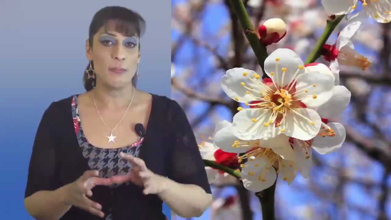 Virgo January 2013 Horoscope by Nadiya Shah