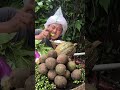 Lalapan segar dan bernutrisi #mukbanglalapanmentah #fyp #shorts