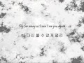 K Will Butterfly Han Eng K Will Butterfly Han Eng